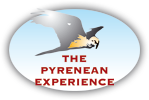 The Pyrenean Experience